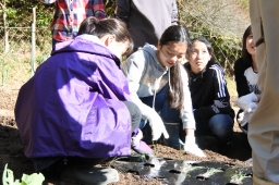 f:id:kgi-okutsu:20191113205407j:plain