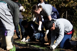 f:id:kgi-okutsu:20191113205410j:plain