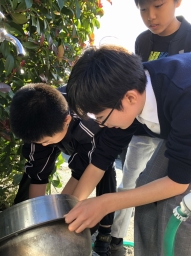 f:id:kgi-okutsu:20191113205550j:plain