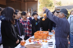 f:id:kgi-okutsu:20191113210018j:plain