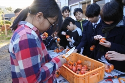 f:id:kgi-okutsu:20191113210024j:plain