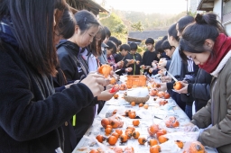 f:id:kgi-okutsu:20191113210030j:plain