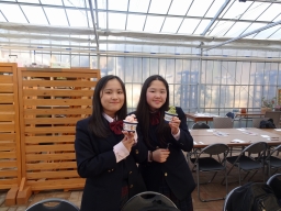 f:id:kgi-okutsu:20191113211518j:plain