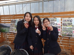 f:id:kgi-okutsu:20191113211521j:plain