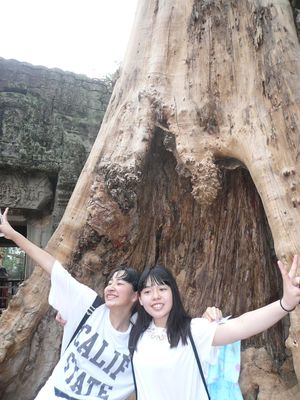 f:id:kgi-osaka:20180331231701j:plain