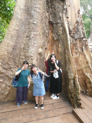 f:id:kgi-osaka:20180331231736j:plain