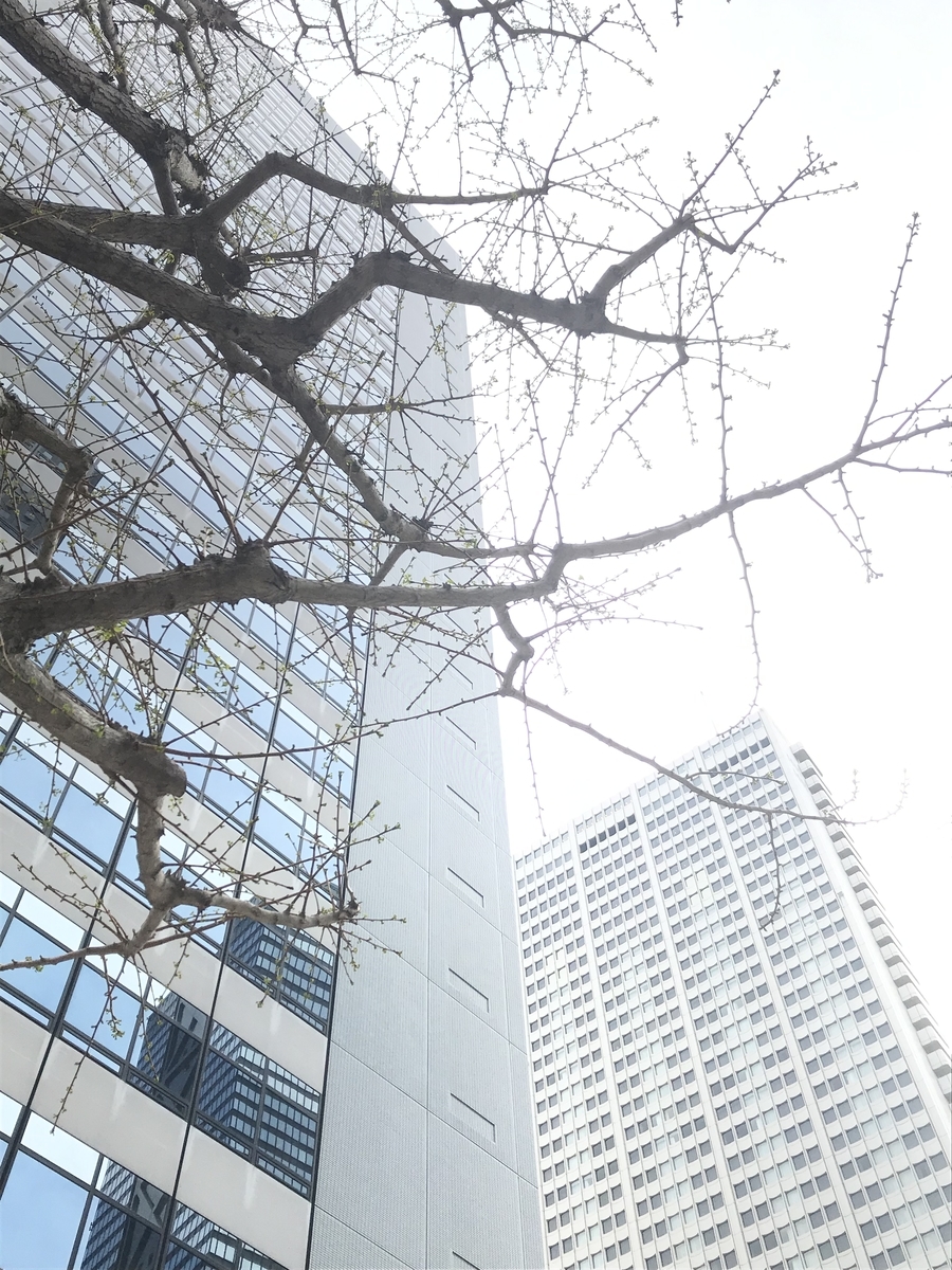 f:id:kgi-osaka:20190412145242j:plain
