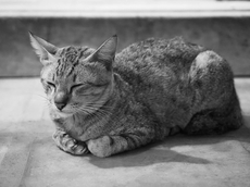 f:id:kgi-osaka:20191221164906j:plain