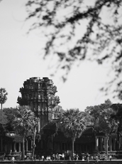 f:id:kgi-osaka:20191221164932j:plain