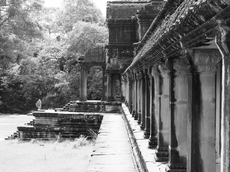 f:id:kgi-osaka:20191221165155j:plain