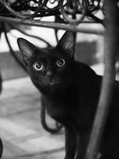 f:id:kgi-osaka:20191221165239j:plain