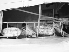 f:id:kgi-osaka:20191221165307j:plain