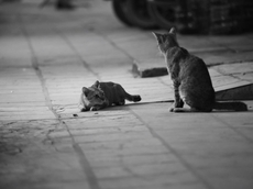 f:id:kgi-osaka:20191221165405j:plain