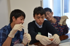 f:id:kgi-yoko:20171115191944j:plain f:id:kgi-yoko:20171115191944j:plain