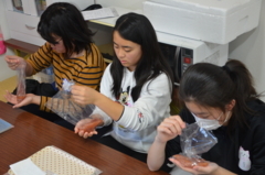 f:id:kgi-yoko:20171115191958j:plain f:id:kgi-yoko:20171115191958j:plain