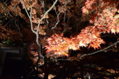 f:id:kgi-yoko:20171115214044j:plain f:id:kgi-yoko:20171115214044j:plain