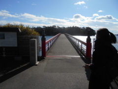 f:id:kgi-yoko:20171116233433j:plain