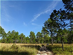 f:id:kgi-yoko:20191213181148j:plain