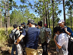 f:id:kgi-yoko:20191213181155j:plain