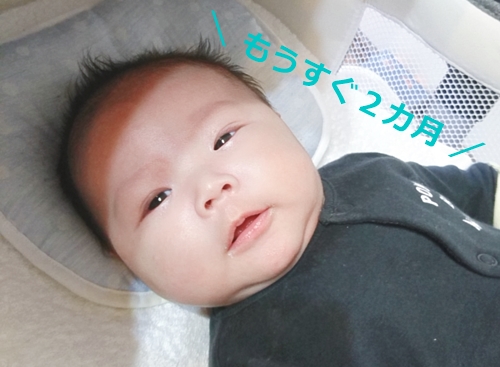 f:id:kh0411:20191127114355j:plain