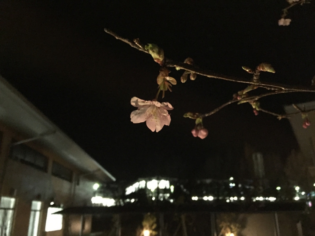 f:id:khasekids:20170201121424j:plain f:id:khasekids:20170201121424j:plain