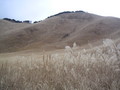 20071209101724