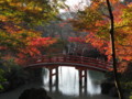 [寺社][紅葉]