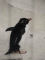 [ペンギン]イワトビペンギン