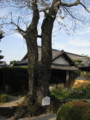 [寺社]橘寺