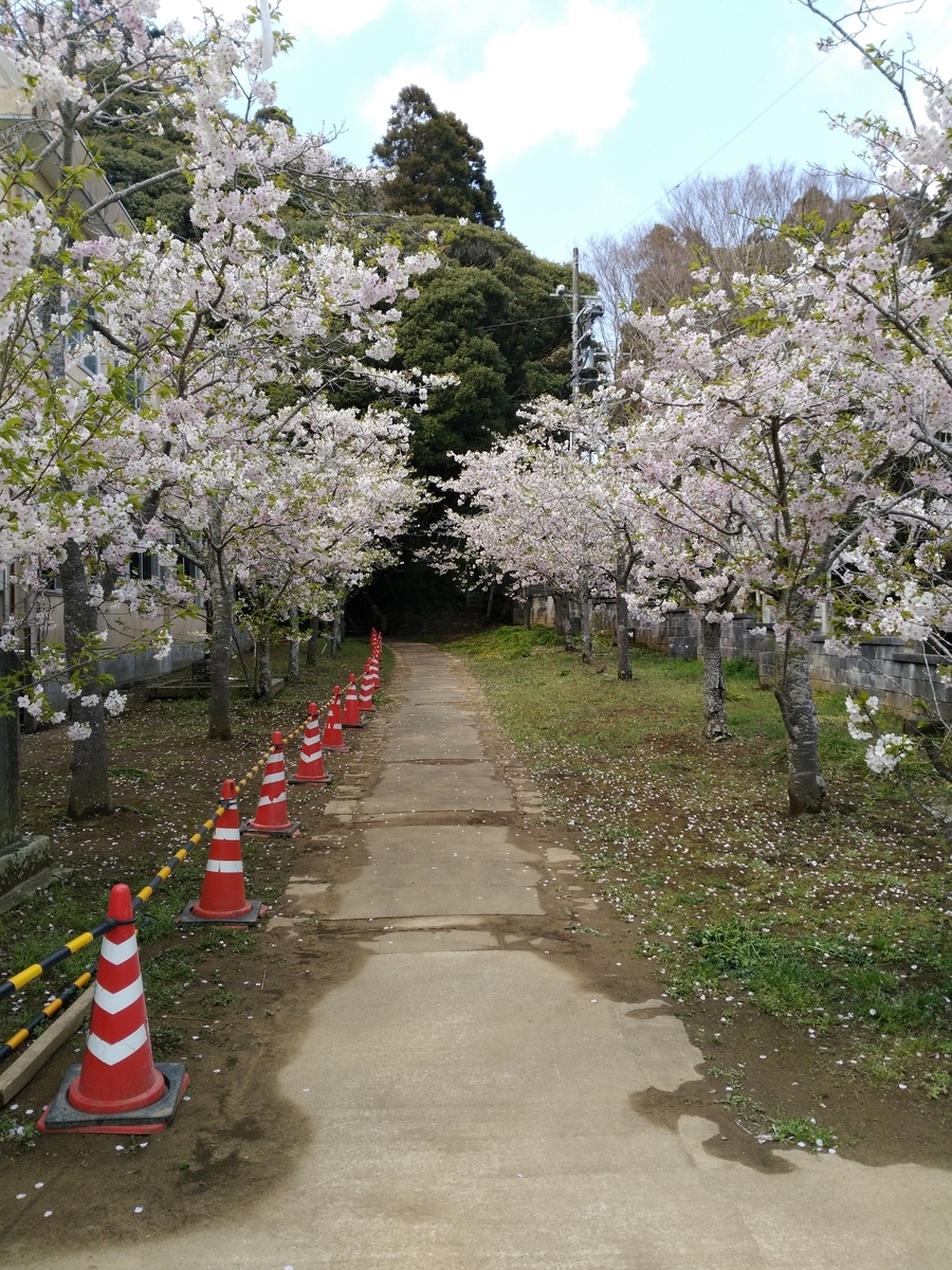 f:id:khirayamakun:20200327130742j:plain