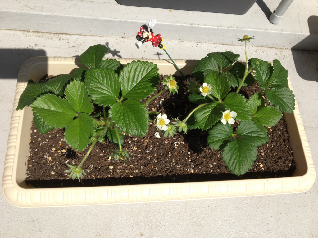 f:id:khirohiro:20180429182110j:plain