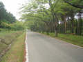 p02,YogoshiYama-ShinrinKoen,Hiranai,Aomori-200805