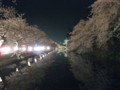 [ao1105]p01,SakuraMatsuri-2011,Hirosaki-Castle,Aomori