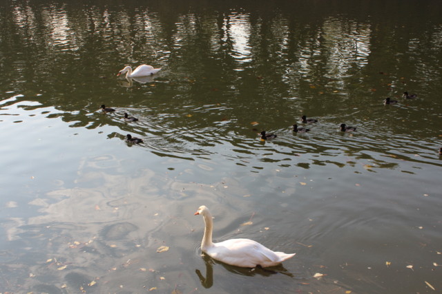 f:id:khoshi3:20111123143713j:image:w480