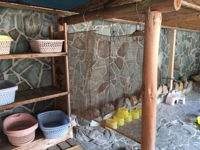 f:id:ki-ki-blog:20190329000531j:plain f:id:ki-ki-blog:20190329000531j:plain