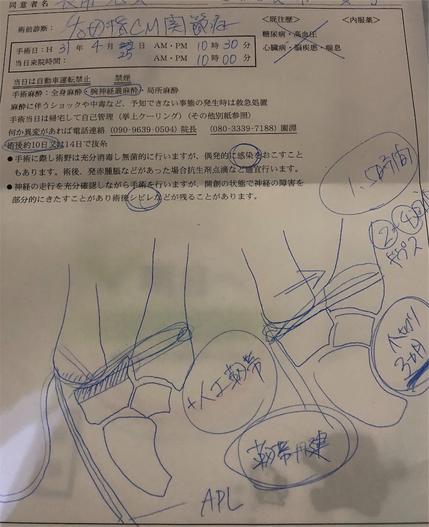 f:id:ki-kochan:20190412211959j:plain