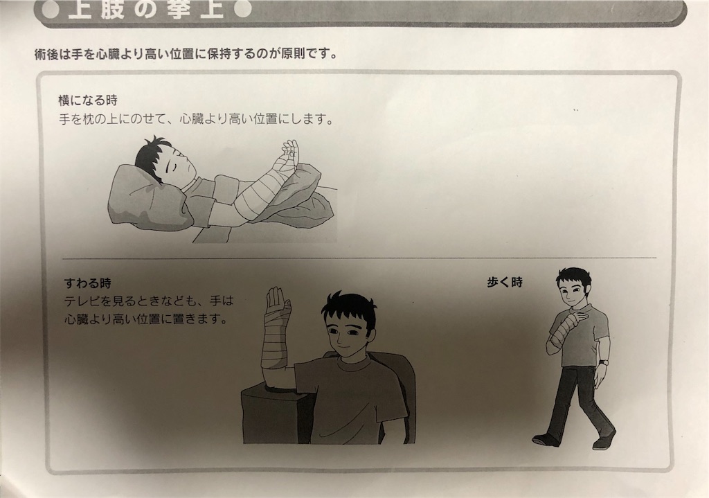 f:id:ki-kochan:20190426183818j:image f:id:ki-kochan:20190426183818j:image