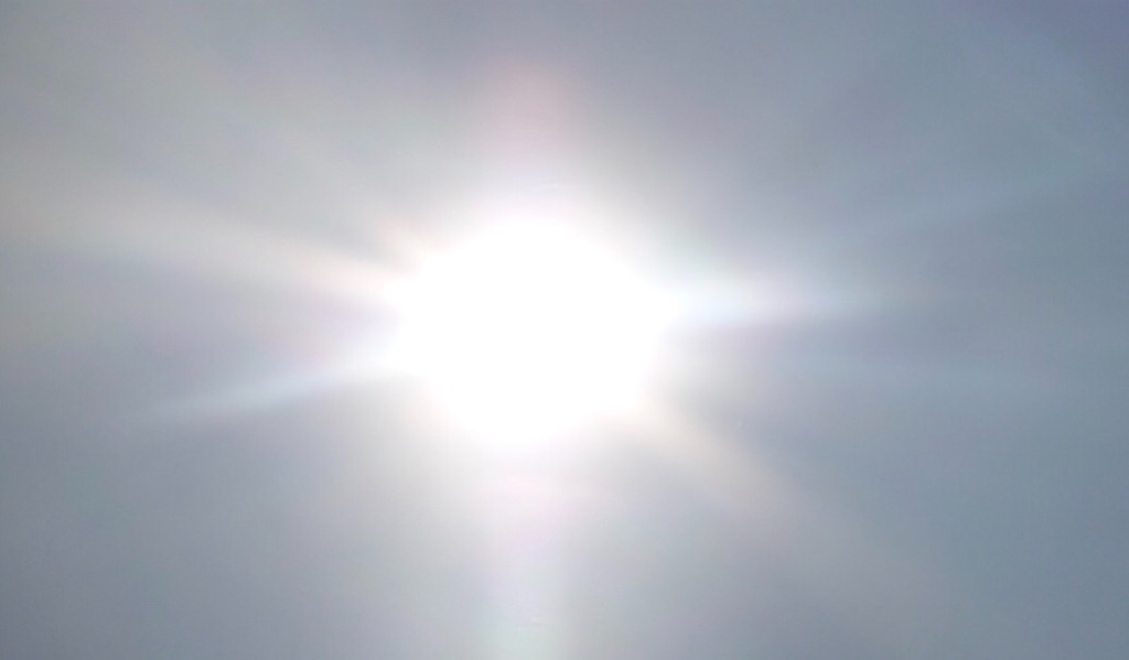 f:id:ki-kochan:20190505154500j:image