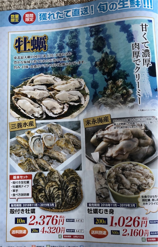 f:id:ki-kochan:20190602195039j:image