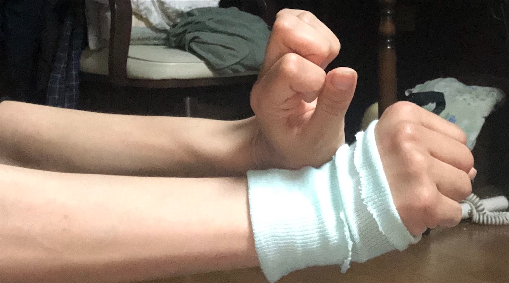 f:id:ki-kochan:20190606112823j:image
