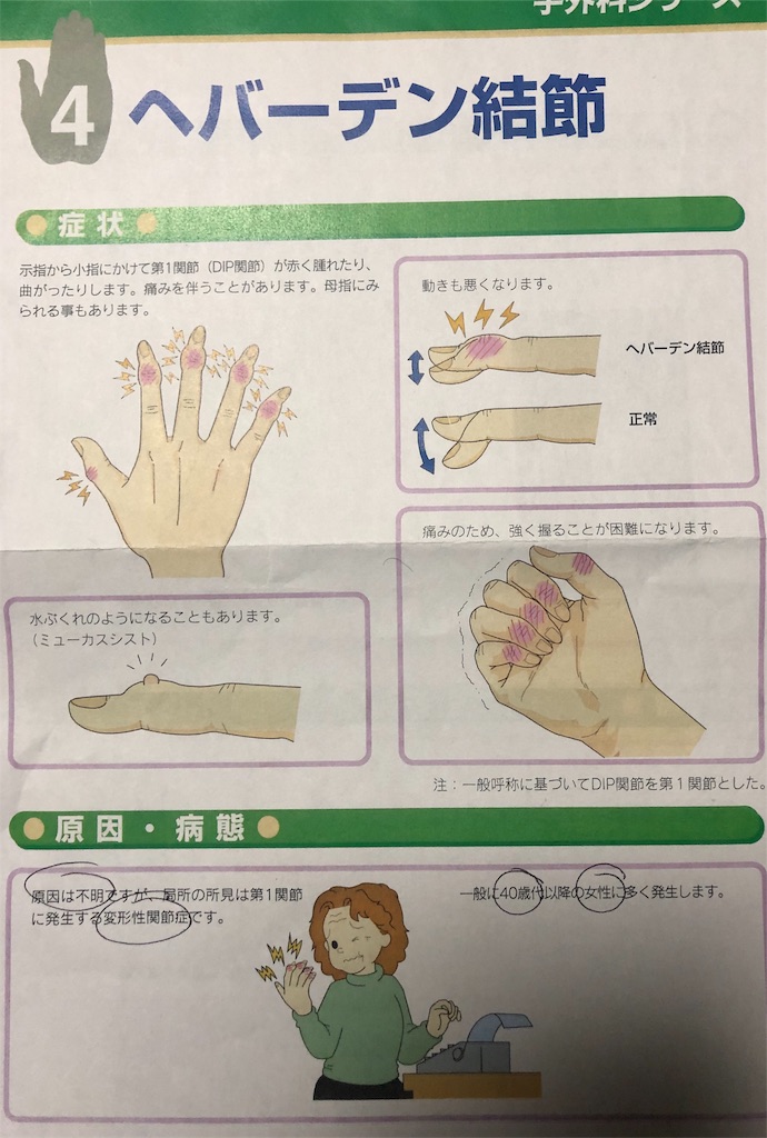 f:id:ki-kochan:20190621213043j:image