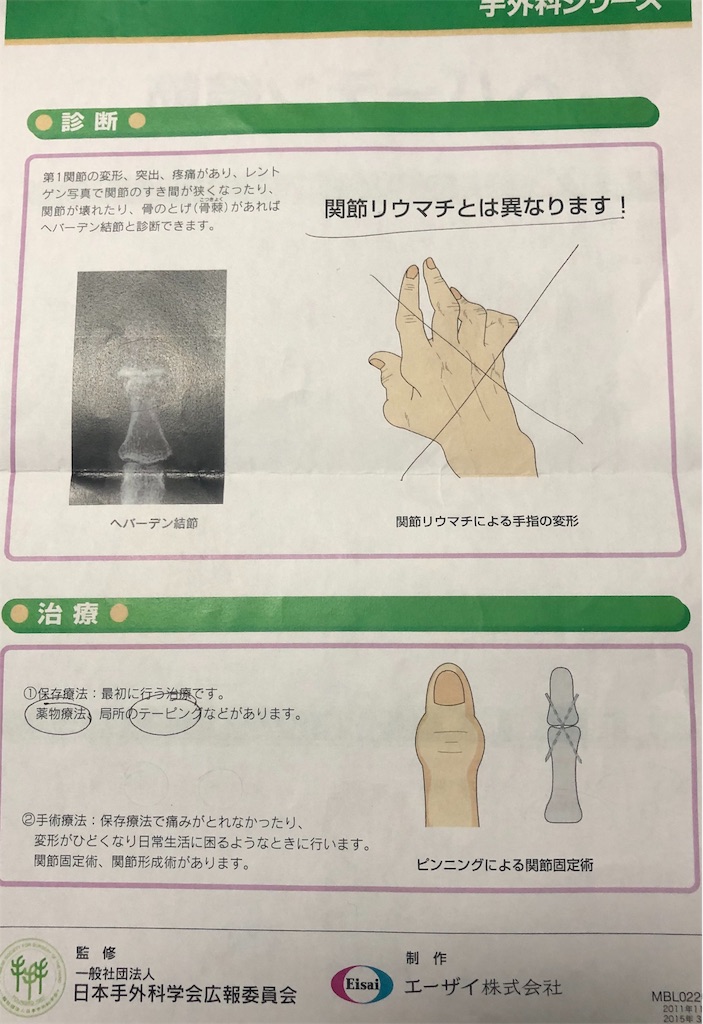 f:id:ki-kochan:20190621213047j:image