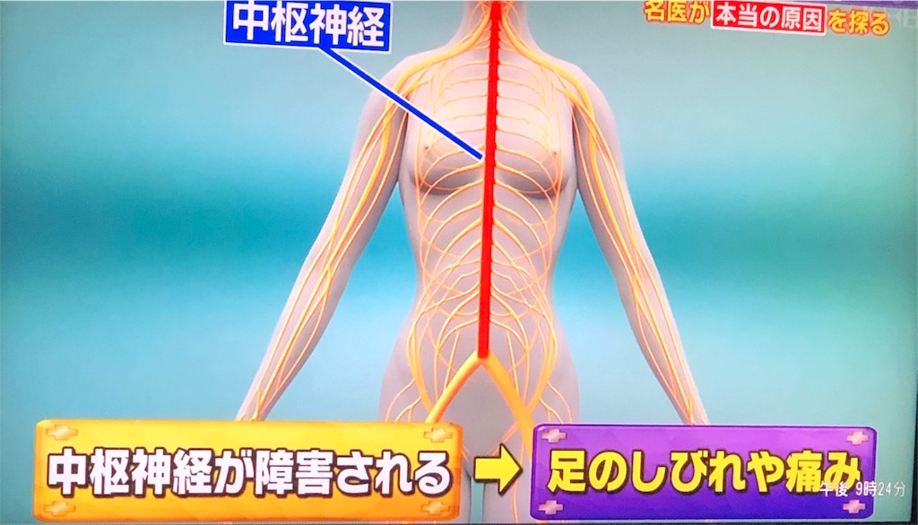 f:id:ki-kochan:20190910204526j:image