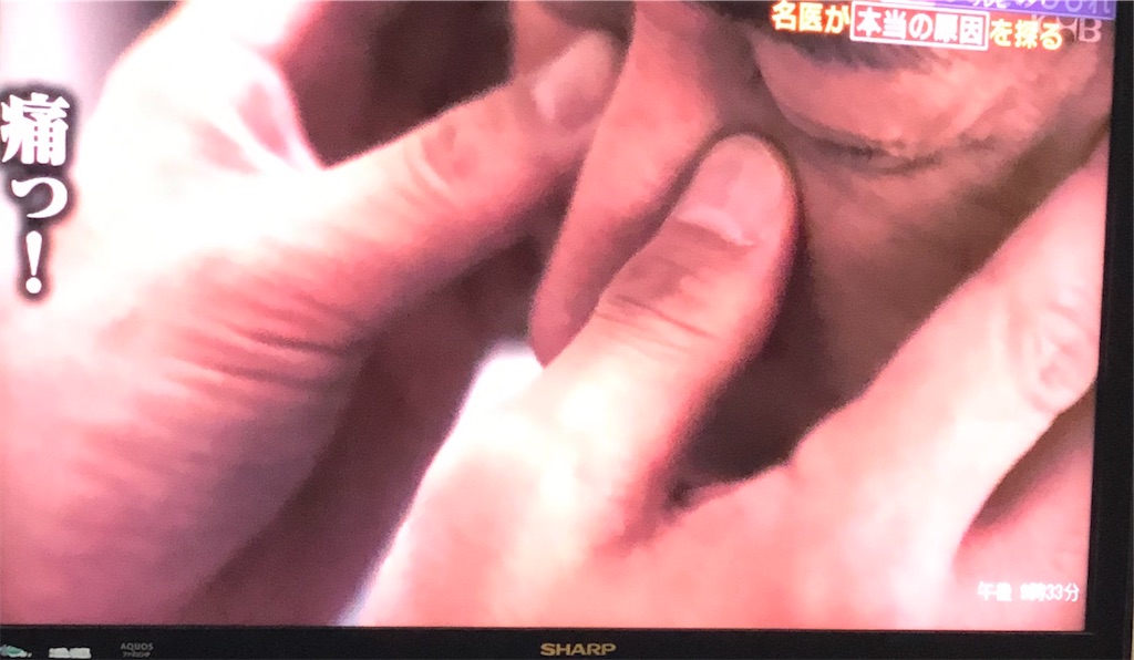 f:id:ki-kochan:20190910205639j:image