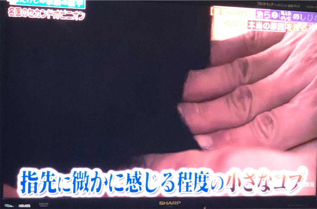 f:id:ki-kochan:20190910211000j:image