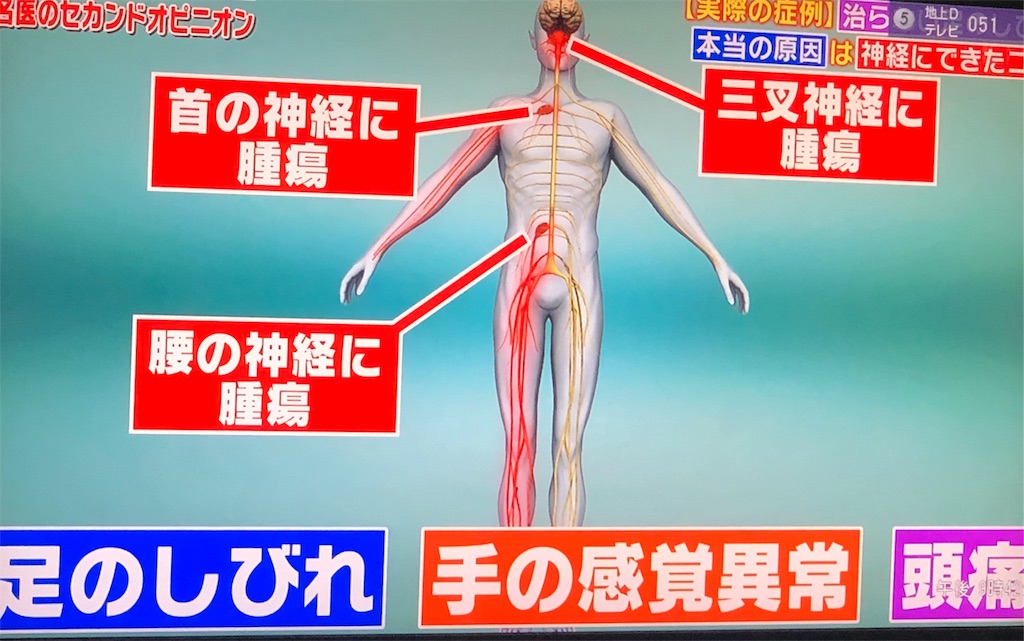 f:id:ki-kochan:20190910211004j:image