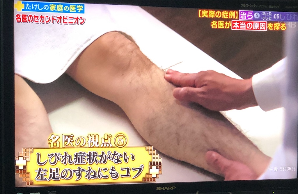 f:id:ki-kochan:20190910211115j:image