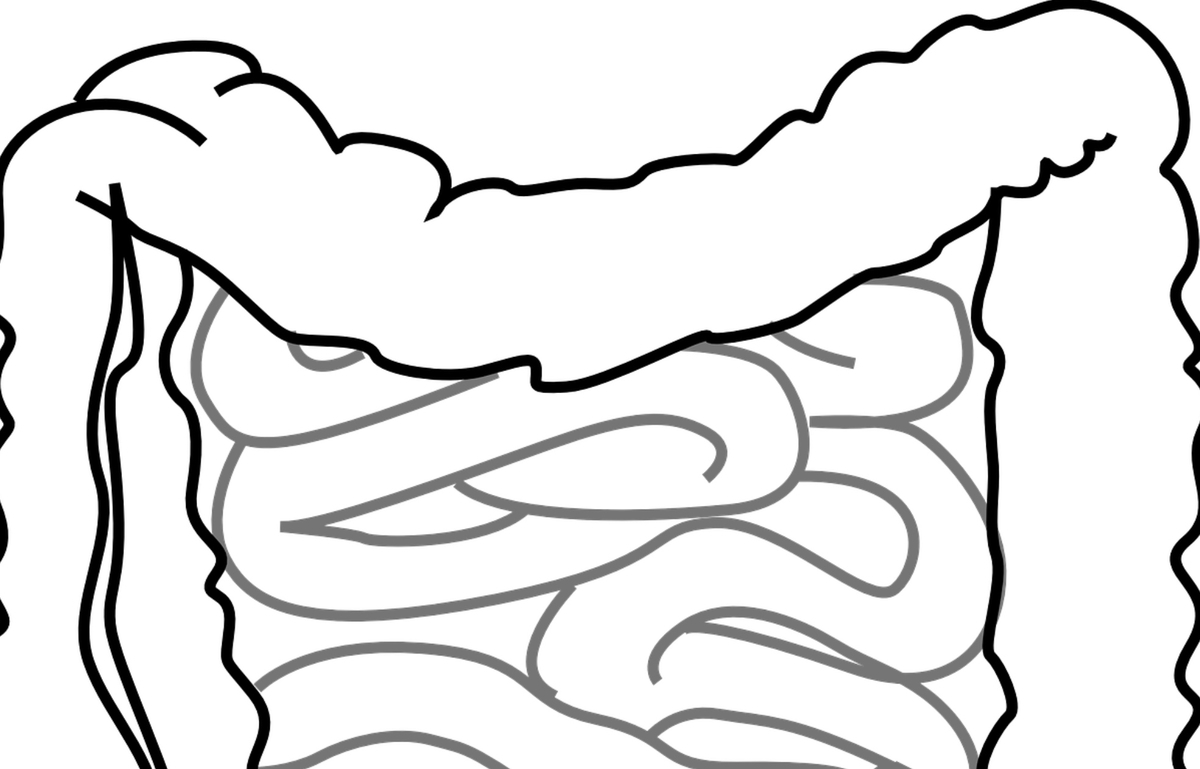 f:id:ki-kochan:20191002185420j:plain
