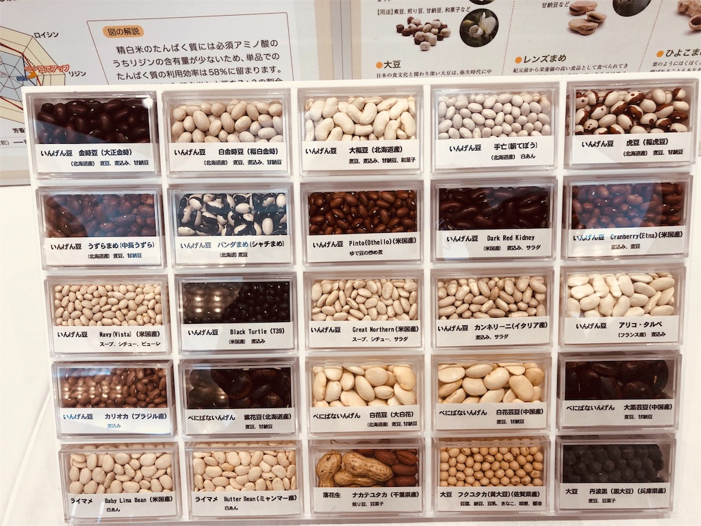 f:id:ki-kochan:20191019003929j:image