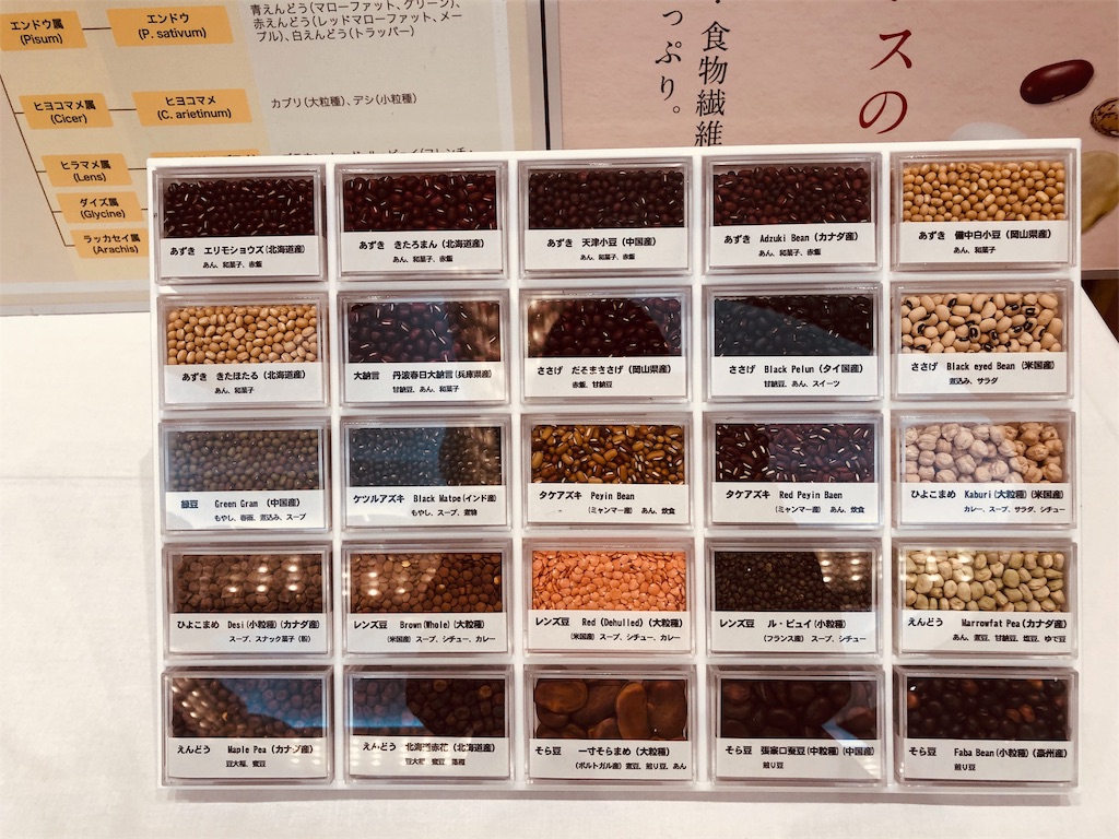 f:id:ki-kochan:20191019003931j:image